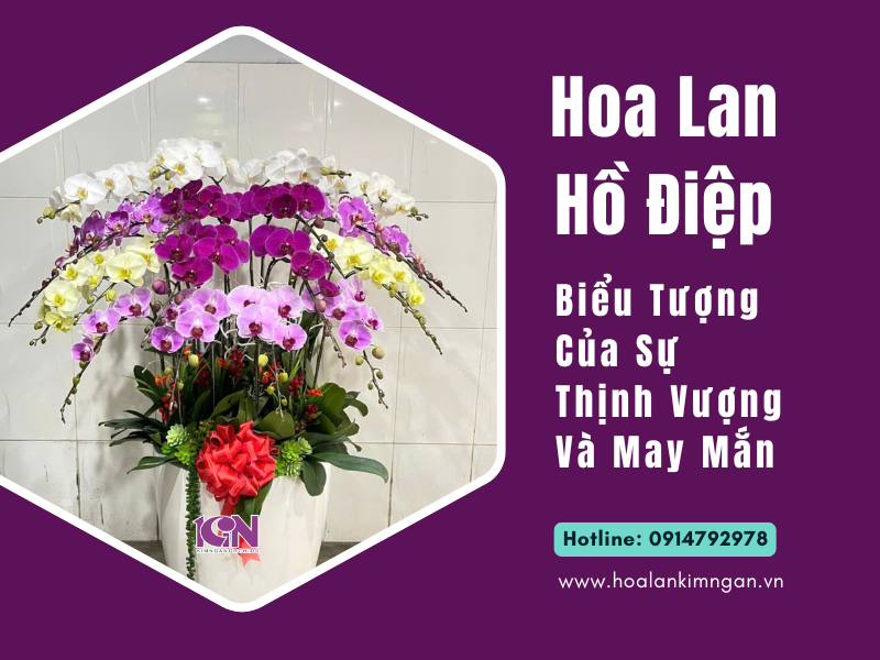 Hoa Lan Hồ Điệp: Biểu Tượng Của Sự Thịnh Vượng Và May Mắn
