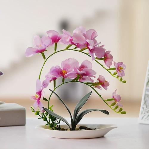 Cách Cắm Hoa Lan Hồ Điệp Tinh Tế, Tăng Phần Đẳng Cấp
